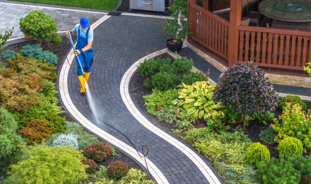 Best Power Washing Near Me  in Beverly Hills, FL
